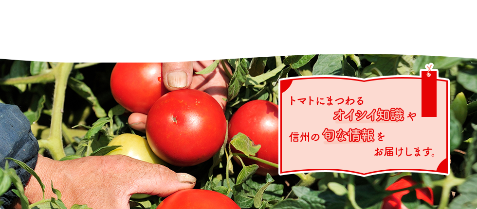 トマトにまつわるオイシイ知識や信州の旬な情報をお届けします。