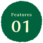 Features01